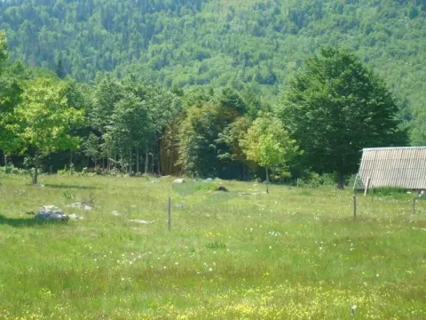 Prodaja, plac, 105000m², Plužine, Crna Gora - image 2
