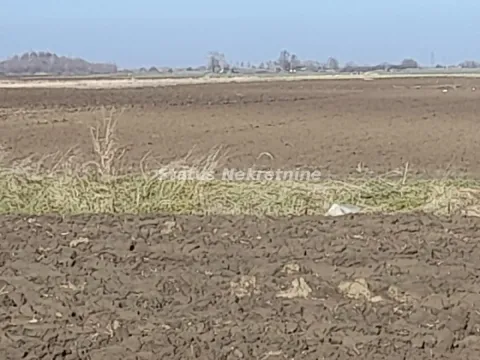 Pogled na ravno poljoprivredno zemljište. - image 7
