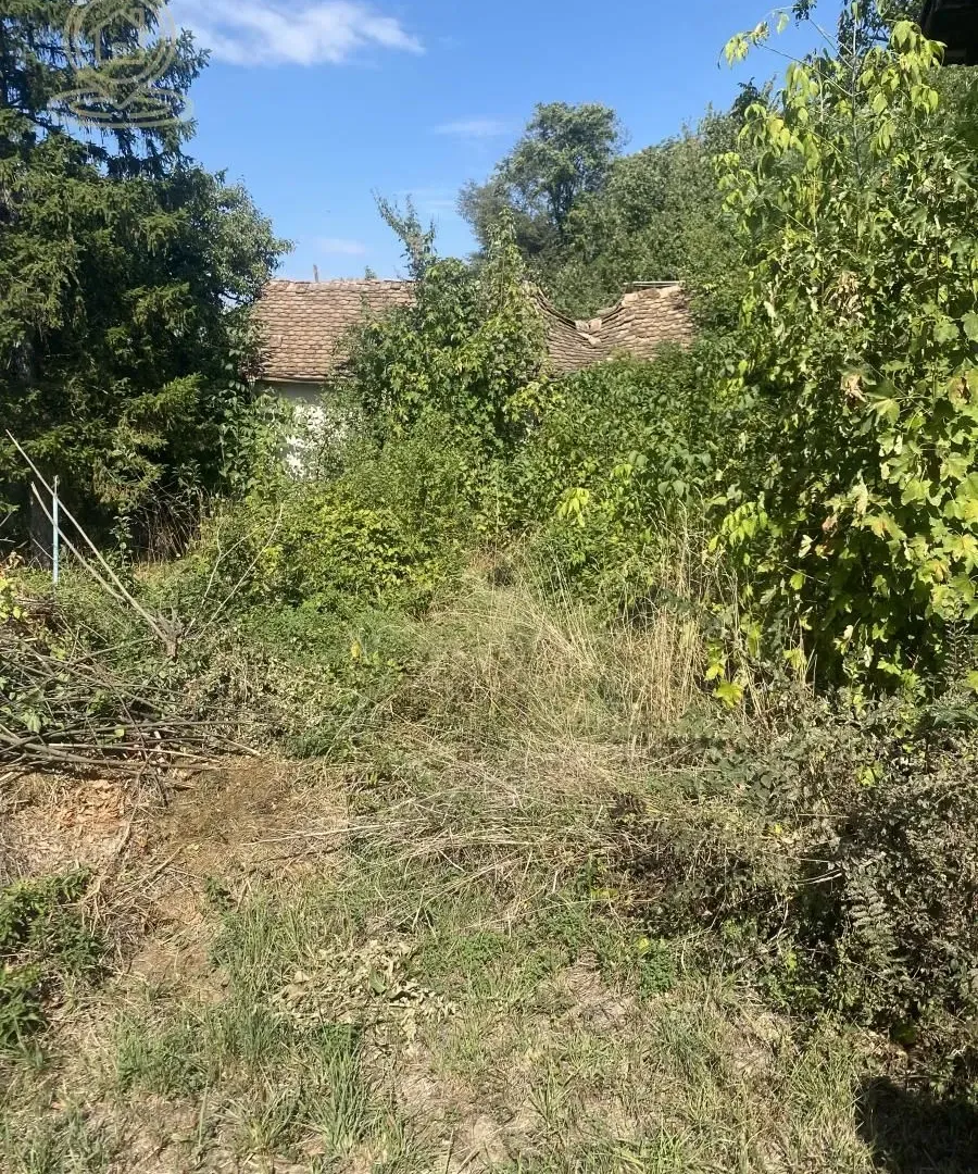 Prodaja, plac, 1290m², Jajinci, Voždovac Sve Podlokacije