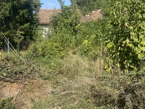 Prodaja, plac, 1290m², Jajinci, Voždovac Sve Podlokacije - image 8