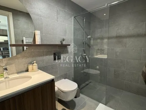 Izdavanje, dvosoban stan, 59m², Savski Venac, Beograd - image 9