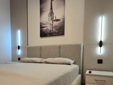 Rent, one bedroom apartment, 46m², Nova Dalmatinska, Podgorica - image 6