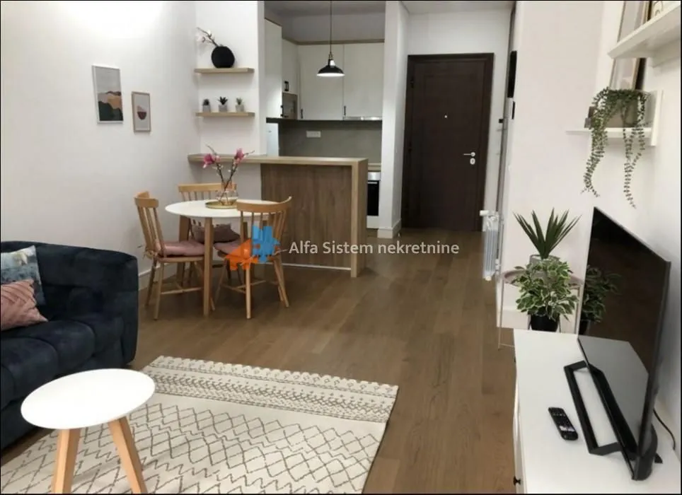 Izdavanje, dvosoban stan, 54m², Savski Venac, Beograd