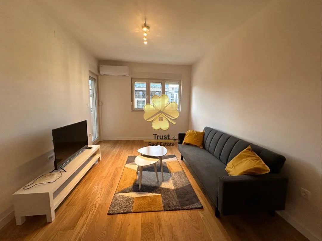 Izdavanje, jednosoban stan, 47m², Central Point, Podgorica