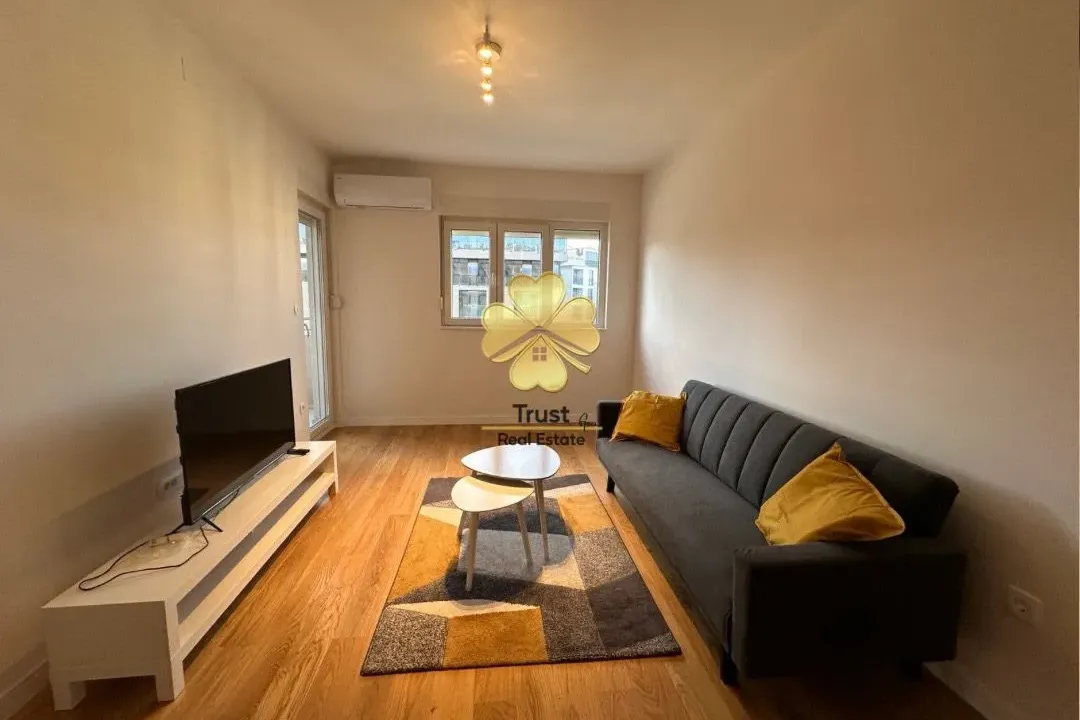 Izdavanje, jednosoban stan, 47m², Central Point, Podgorica