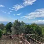 Prodaja, plac, 376m², Budva, Crna Gora - image 7