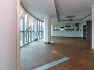 Izdavanje,  poslovni prostor, 450m2, Podgorica