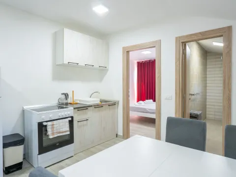 Izdavanje, jednosoban stan, 40m², Radanovići, Kotor - image 13