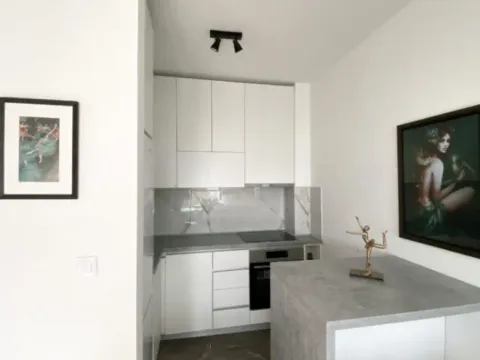 Rent, one bedroom apartment, 50m², Donja Lastva, Tivat - image 5