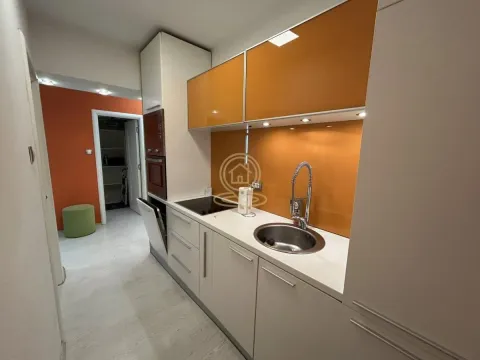 Rent, two bedroom apartment, 44m², Cvijićeva, Palilula Sve Podlokacije - image 8