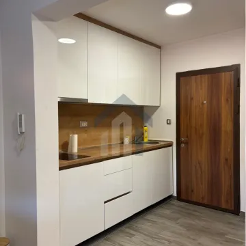 Izdavanje, jednosoban stan, 38m², Blok 9, Podgorica - image 5