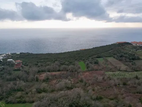 Prodaja, plac, 487m², Krimovica, Kotor - image 22