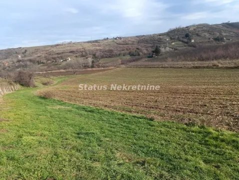Pogled na prostrano poljoprivredno zemljište i okolni pejzaž. - image 5
