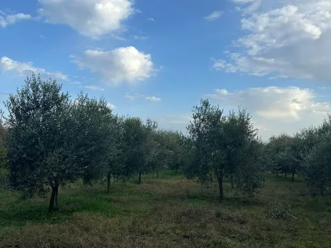 Prodaja, plac, 6000m², Ulcinj, Crna Gora - image 7