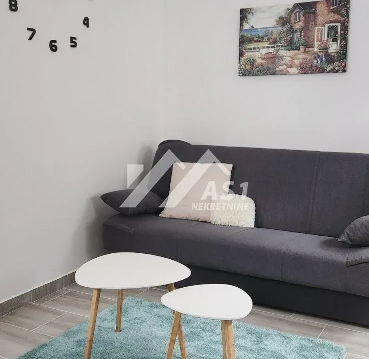 Izdavanje, stan, 23m², Novi Sad Sve Podlokacije, Novi Sad