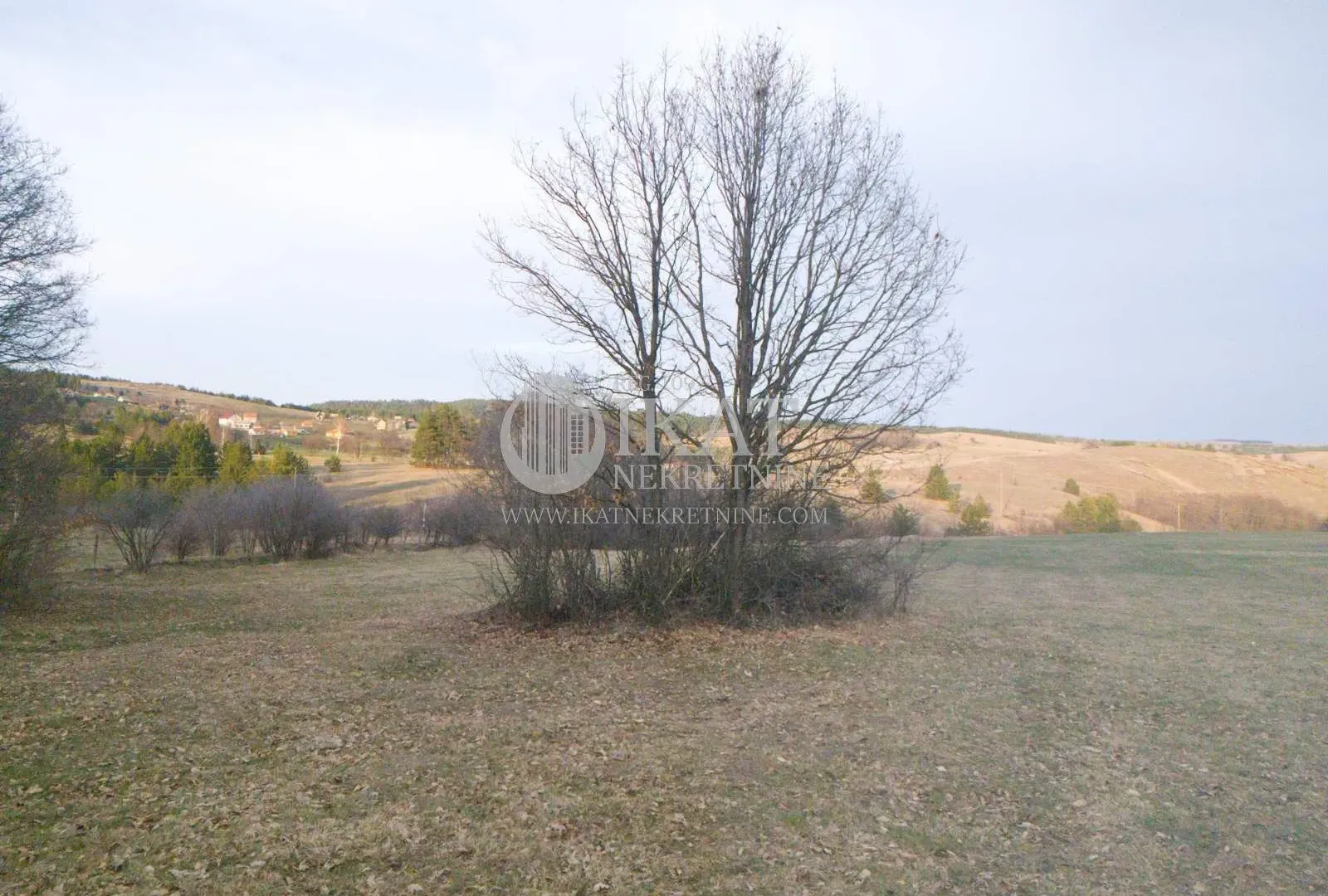 Prodaja, plac, 10700m², Tometino Polje, Požega