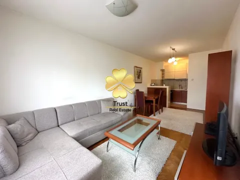 Izdavanje, dvosoban stan, 60m², Blok 9, Podgorica - image 2