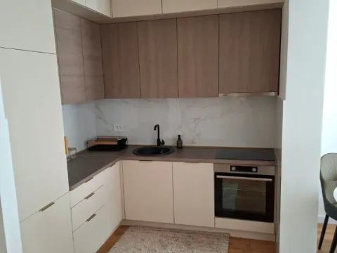 Izdavanje, jednosoban stan, 45m², Stari Aerodrom, Podgorica - image 8