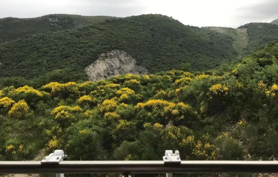 Prodaja, dvosoban stan, 68m², Bečići, Budva