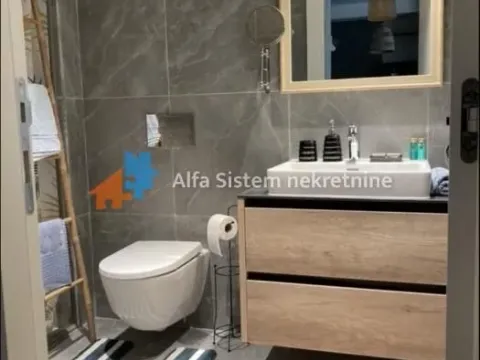 Izdavanje, dvosoban stan, 55m², Savski Venac, Beograd - image 8