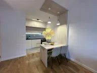 Izdavanje, jednosoban stan, 50m², Central Point, Podgorica - image 3