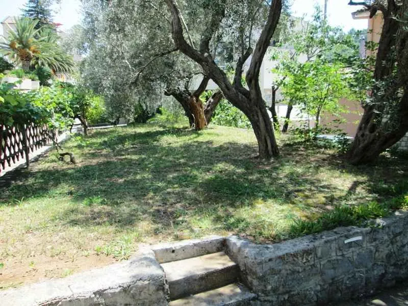 Zeleno dvorište sa stablima i kamenim stepenicama.
