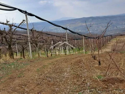 Prodaja, plac, 32477m², Begaljica, Grocka - image 7