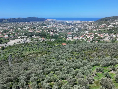 Prodaja, plac, 10500m², Stari Bar, Bar - image 4