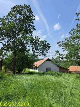 Pogled na kuću i dvorište obraslo zelenilom sa drvećem. - image 14