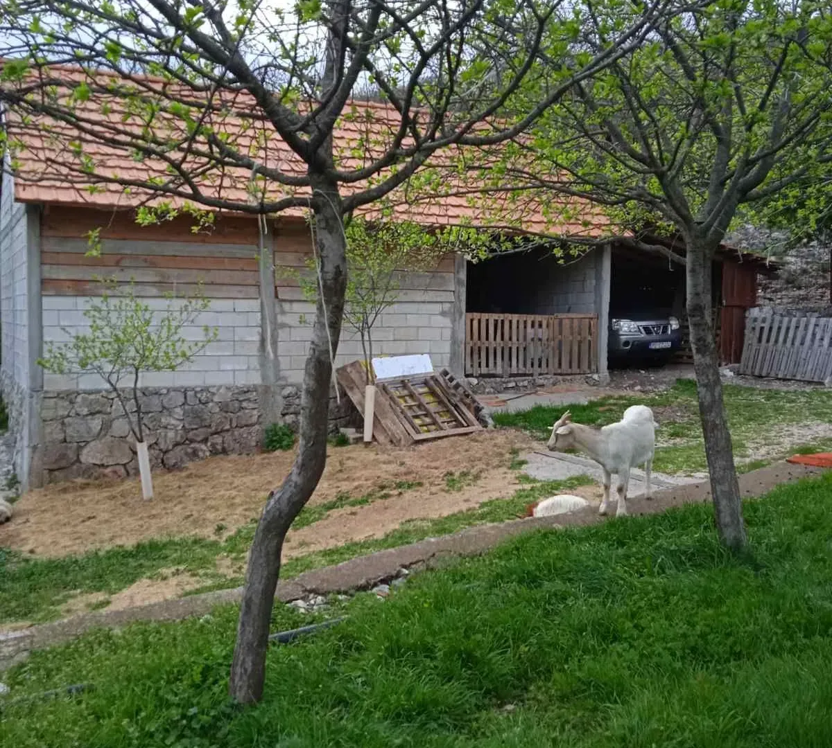 Prodaja, plac, 62460m², Piperi, Podgorica