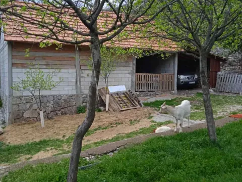 Sale, land lot, 62460m², Piperi, Podgorica - image 3