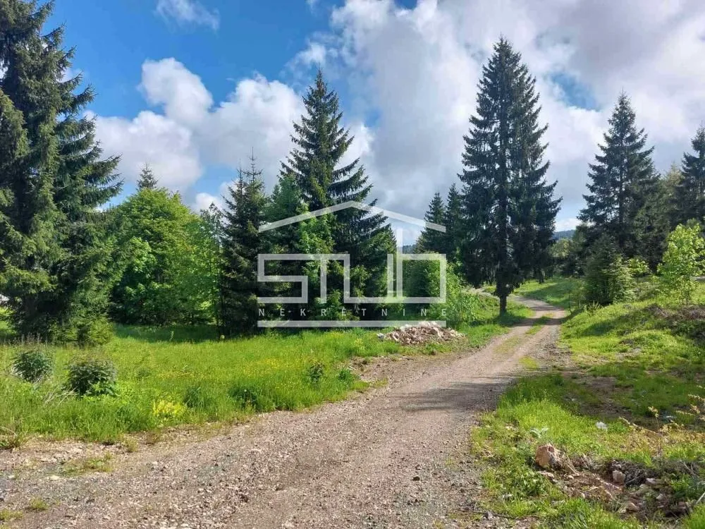Sale, land lot, 3900m², Tara, Srbija