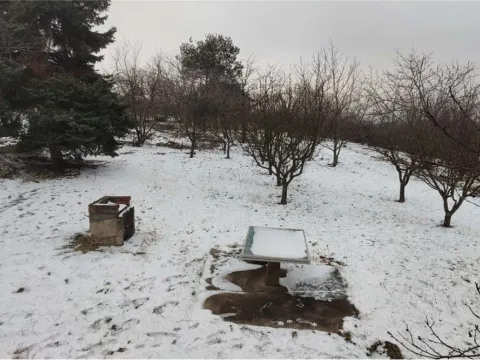 Prodaja, kuća, 270m², Niš, Srbija - image 14