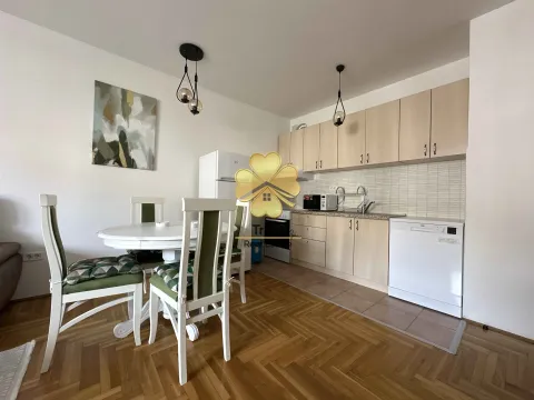 Rent, one bedroom apartment, 45m², Tuški Put, Podgorica - image 3