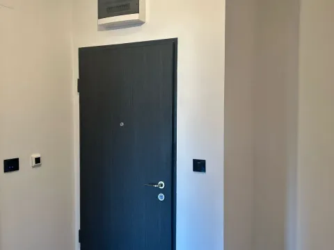 Rent, one bedroom apartment, 51m², Ljubović, Podgorica - image 4