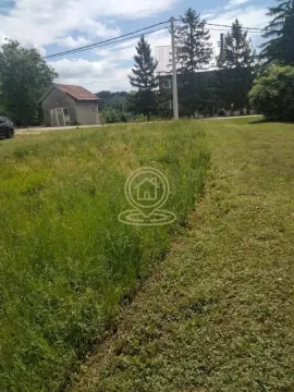 Pogled na travnato dvorište i objekte na imanju. - image 4
