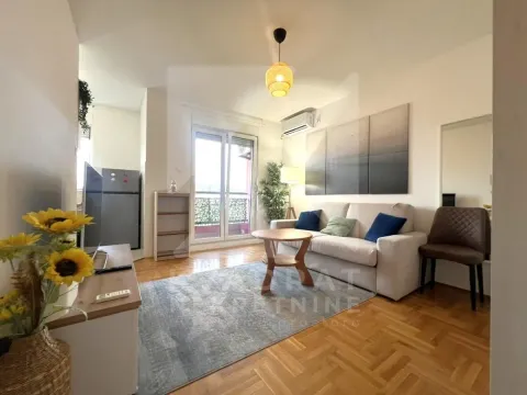 Rent, studio apartment, 29m², Zabjelo, Podgorica - image 2
