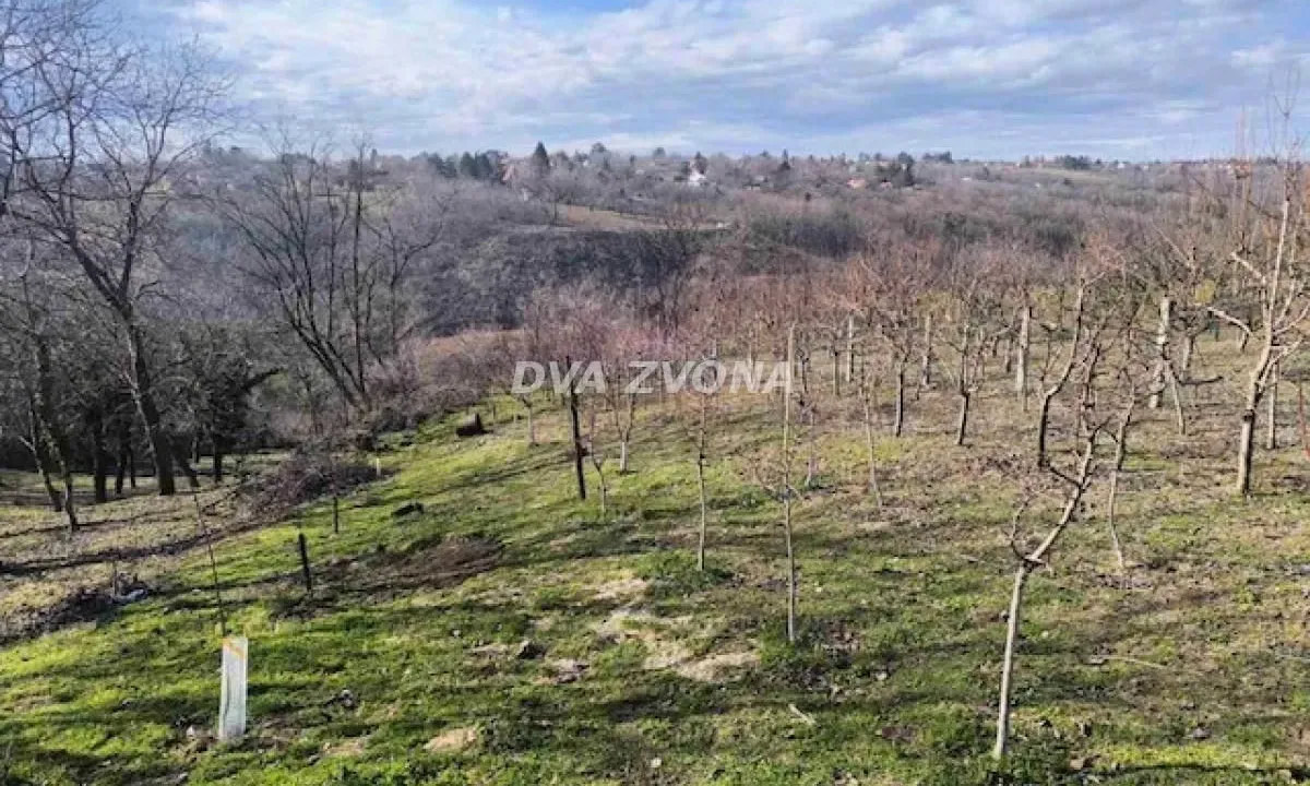 Prodaja, plac, 700m², Čortanovci, Inđija