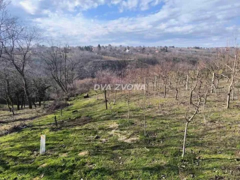 Prodaja, plac, 700m², Čortanovci, Inđija - image 1