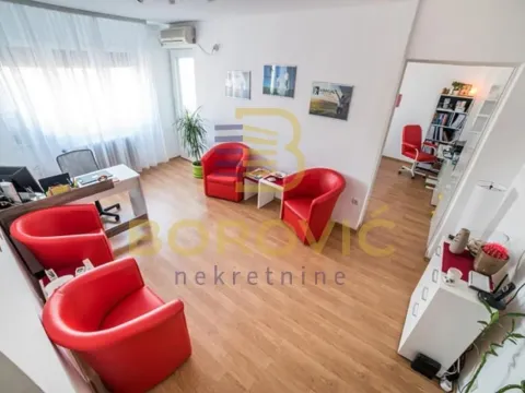 Stan in Botanička Bašta