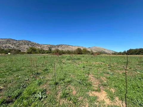 Prodaja, plac, 9569m², Botun, Podgorica - image 6