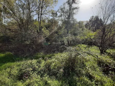 Prodaja, plac, 2500m², Spuž, Danilovgrad - image 4