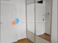 Izdavanje, dvosoban stan, 44m², Vračar Sve Podlokacije, Beograd - image 7