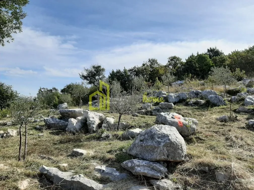 Prodaja, plac, 29510m², Kunje, Bar