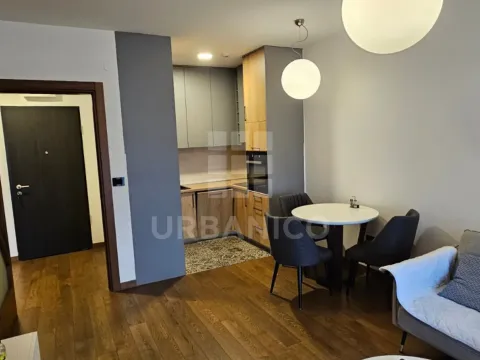 Rent, one bedroom apartment, 48m², Ljubović, Podgorica - image 4