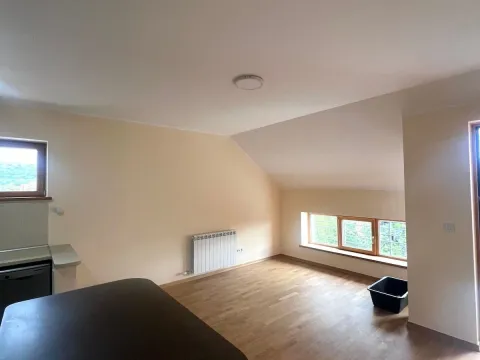 Izdavanje, četvorosoban stan, 115m², Dedinje Sve Podlokacije, Beograd - image 13