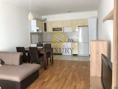Rent, two bedroom apartment, 71m², Ljubović, Podgorica - image 9