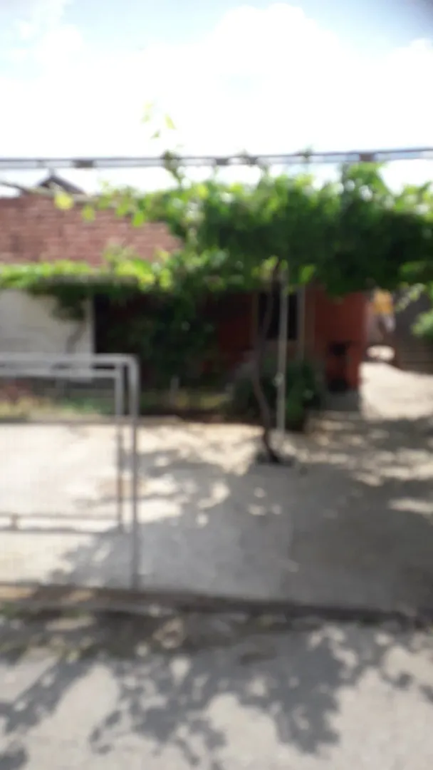Dvorište ispred kuće sa kapijom i drvećem.