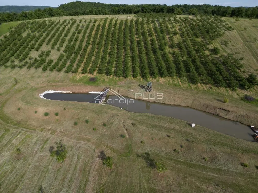 Prodaja, plac, 70000m², Grošnica, Kragujevac