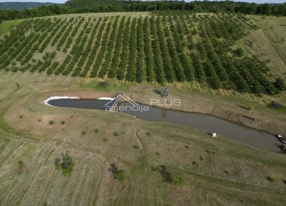 Prodaja, plac, 70000m², Grošnica, Kragujevac